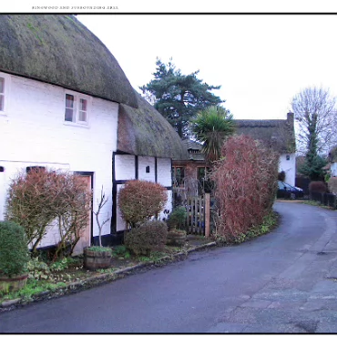 Ringwood, Hampshire, UK Nestled at the edge (now) of the New Forest, Ringwood is my home town in the UK